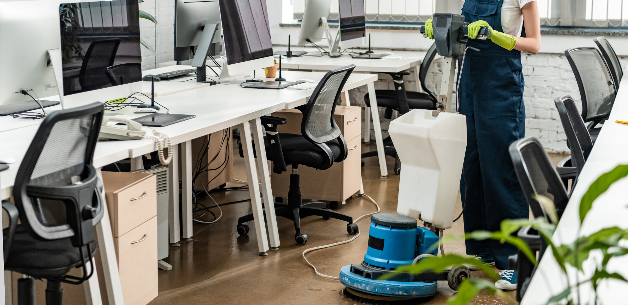 Office Cleaning Willow Cleaners Ltd